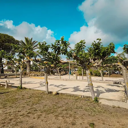 Appartement Barcazen Le Barcarès